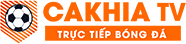 máy ra vào lốp xe máy